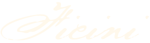 Ficini